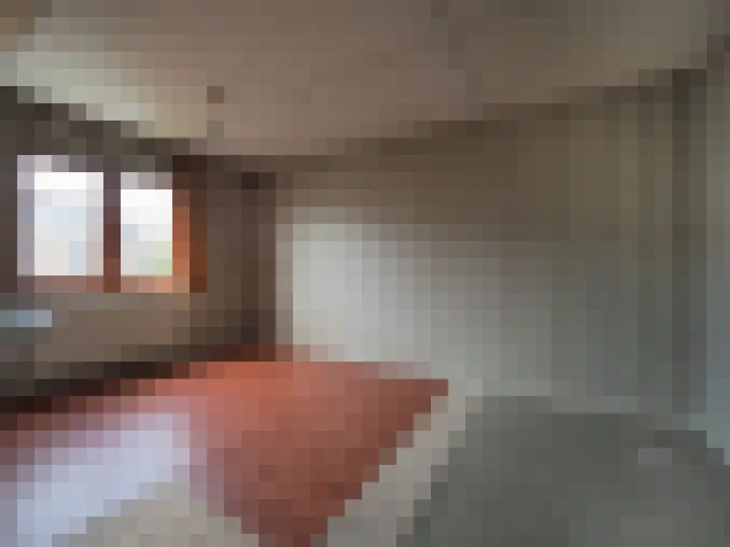 Hans Memlingstraat 8 Papendrecht thumbnail 23