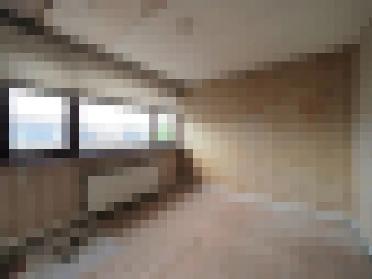 Hans Memlingstraat 8 Papendrecht thumbnail 31