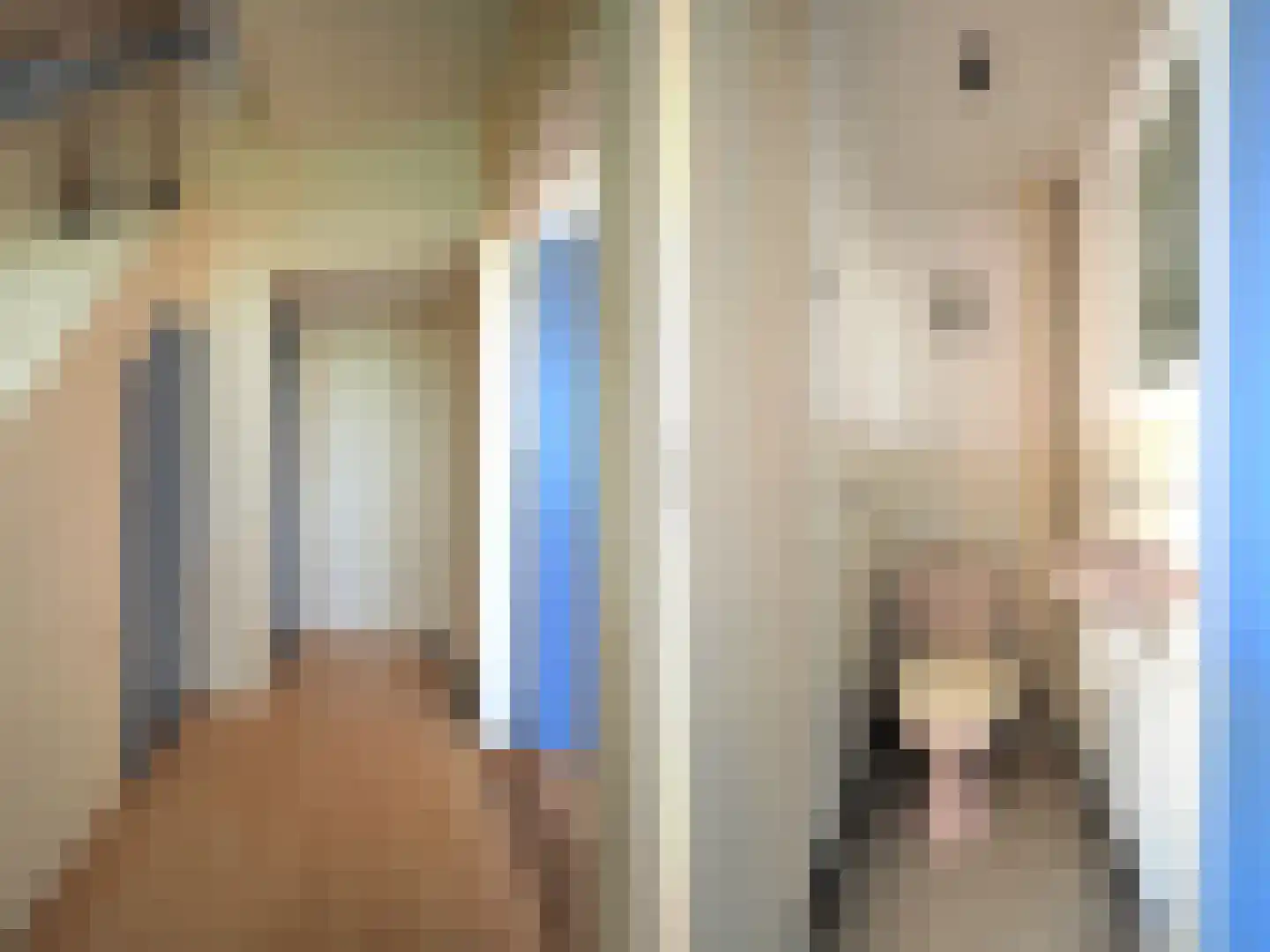 Hans Memlingstraat 8 Papendrecht thumbnail 9