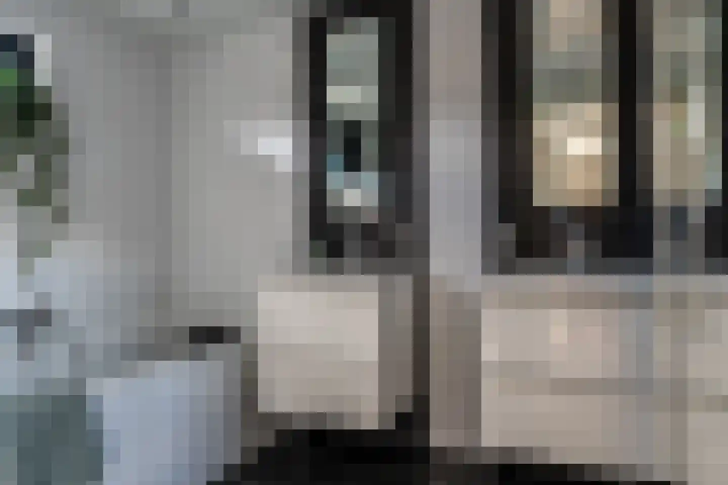 Hans Tetznerlaan 19 Groningen thumbnail 25