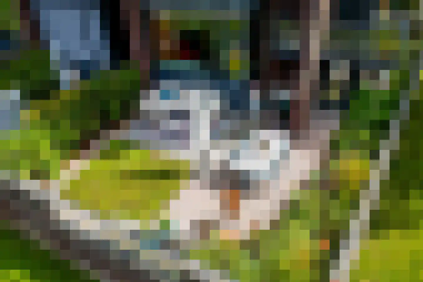 Hans Tetznerlaan 19 Groningen thumbnail 39