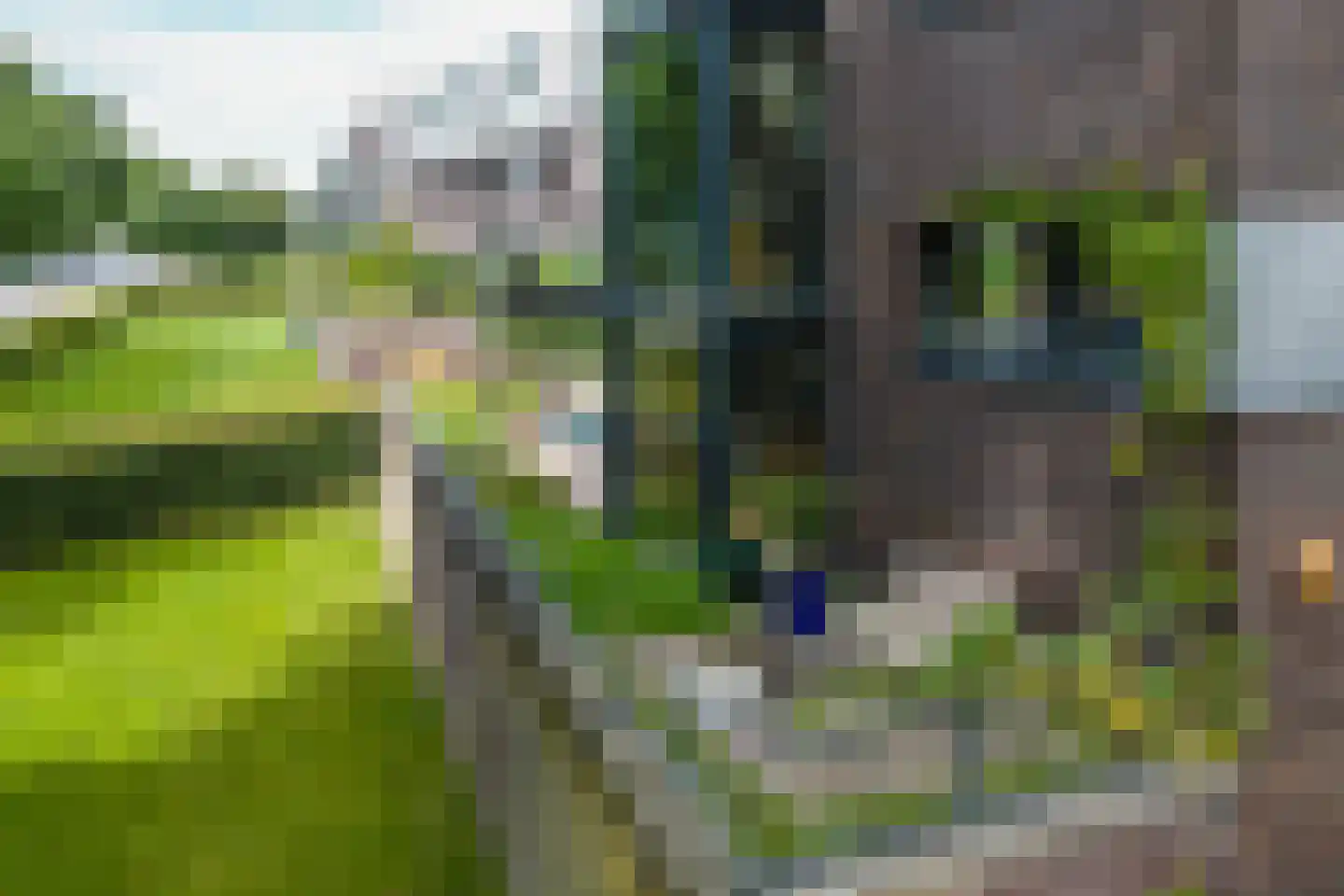 Hans Tetznerlaan 19 Groningen thumbnail 42