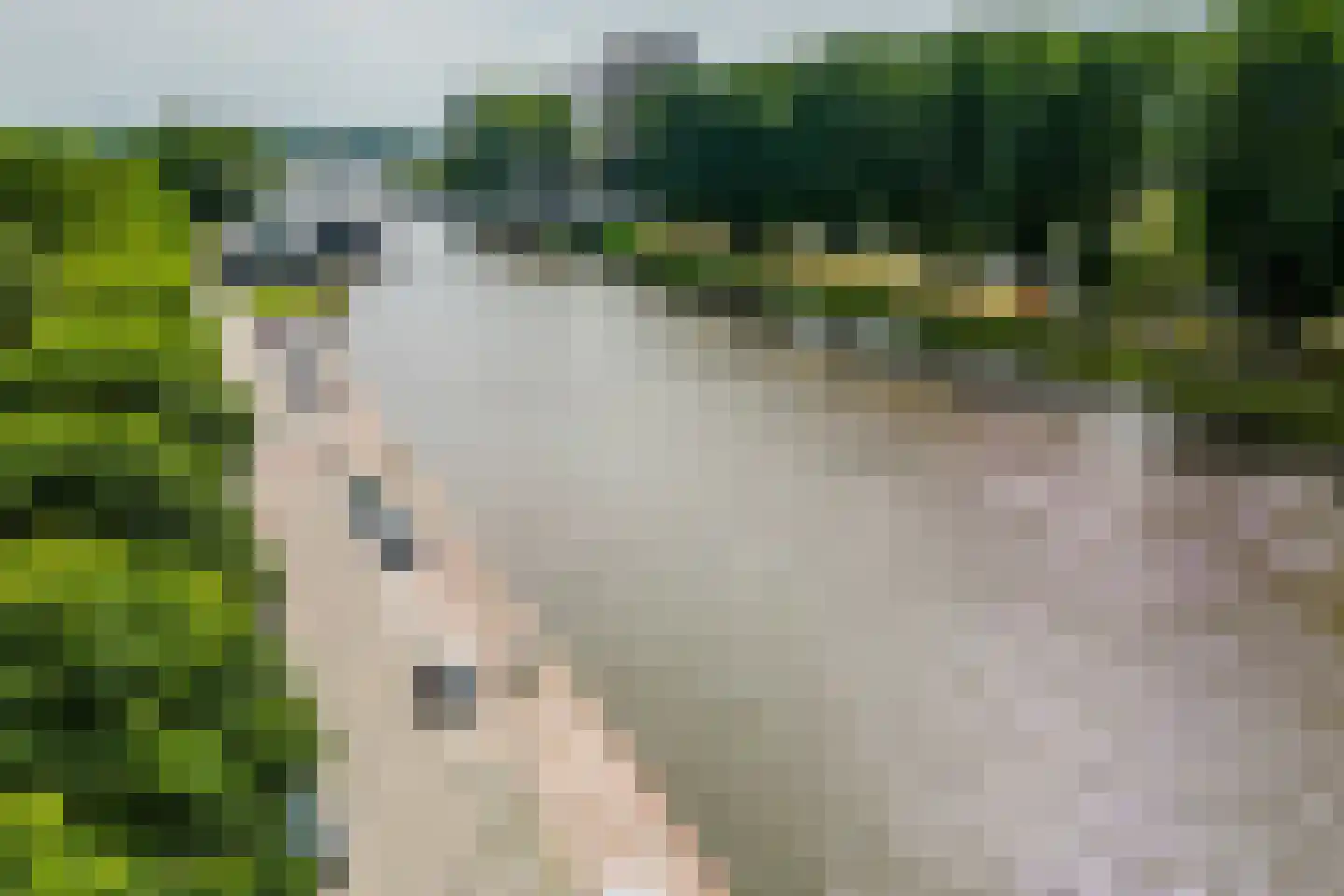 Hans Tetznerlaan 19 Groningen thumbnail 44