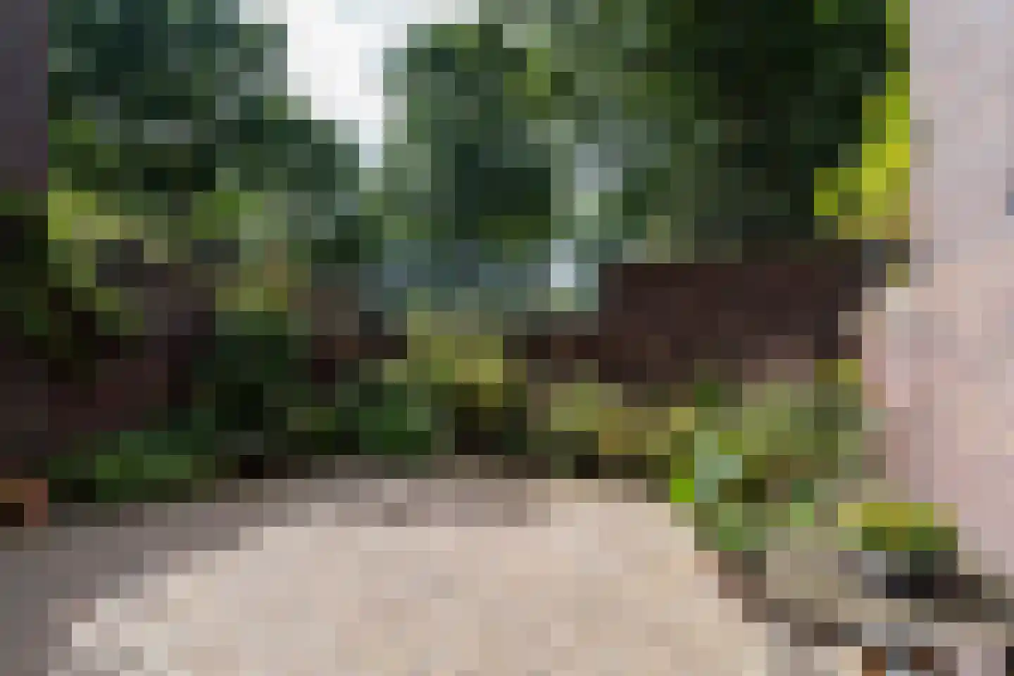 Hans Tetznerlaan 19 Groningen thumbnail 45