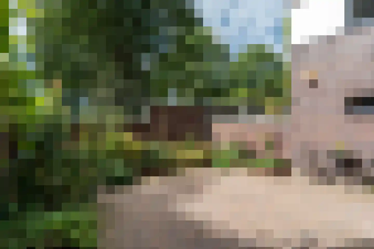 Hans Tetznerlaan 19 Groningen thumbnail 46