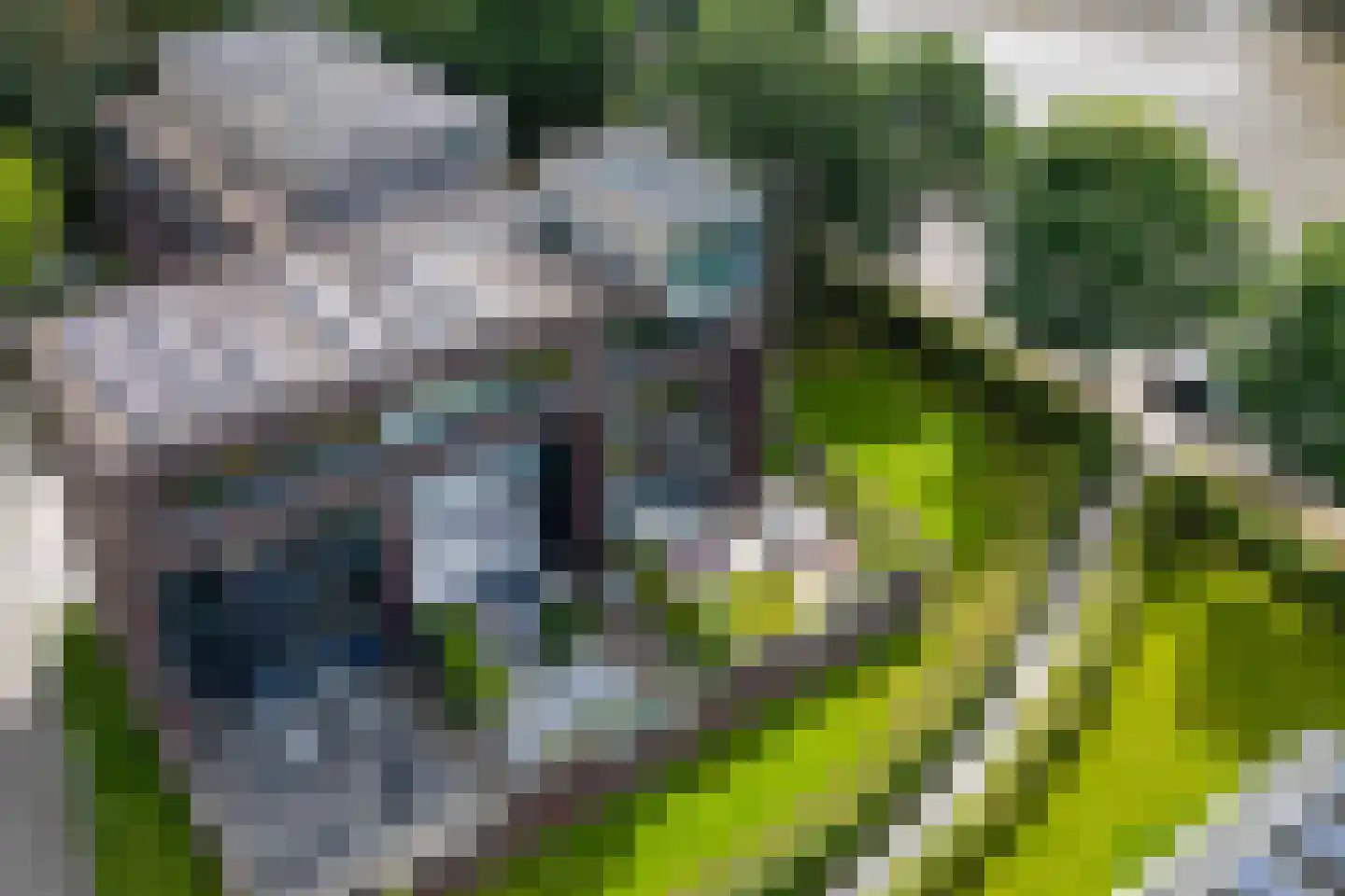 Hans Tetznerlaan 19 Groningen thumbnail 50