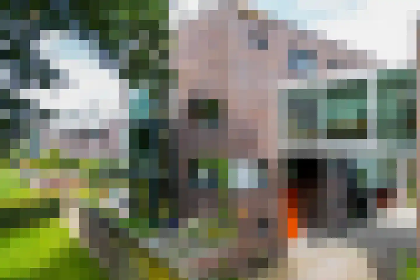 Hans Tetznerlaan 19 Groningen thumbnail 6