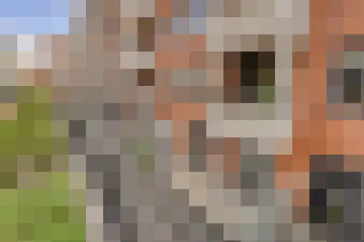 Hans van der Hoevenstraat 6 Katwijk thumbnail 31