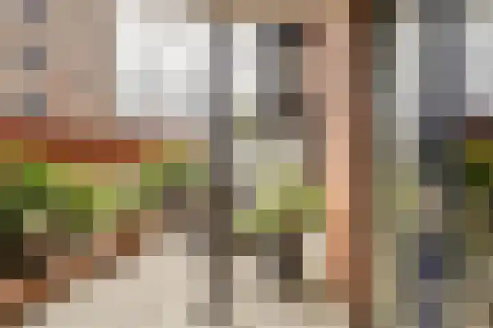 Hans van der Hoevenstraat 6 Katwijk thumbnail 32