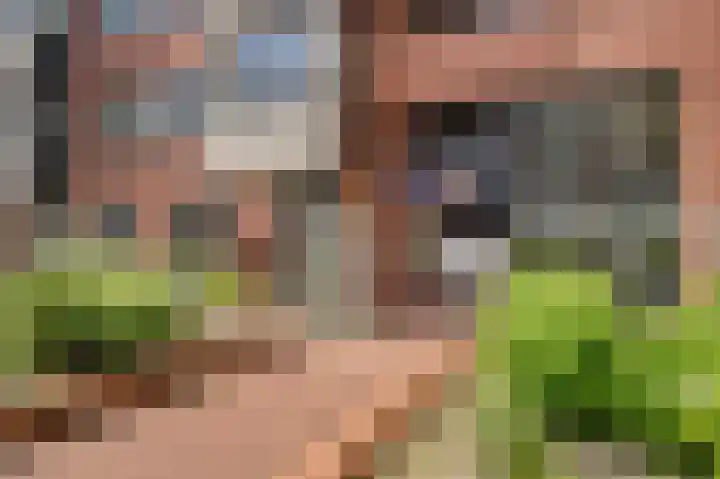 Hans van der Hoevenstraat 66 Katwijk thumbnail 5