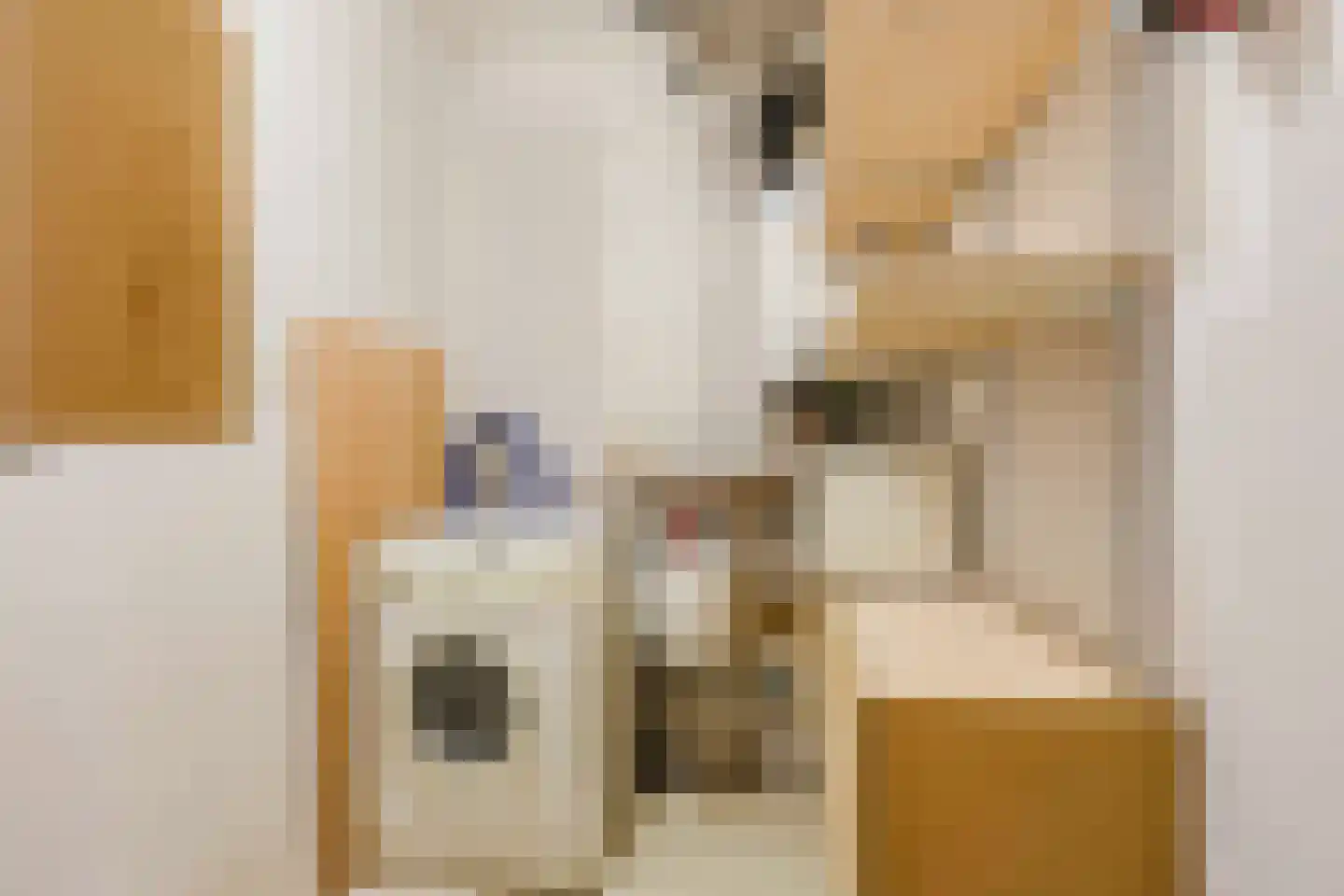 Hans van der Hoevenstraat 86 Katwijk thumbnail 32