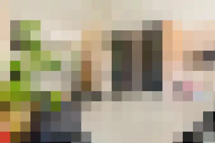 Hans van Kilsdonklaan 5 Beverwijk thumbnail 12