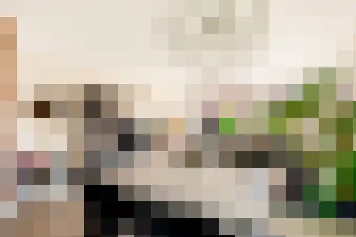 Hans van Kilsdonklaan 5 Beverwijk thumbnail 17