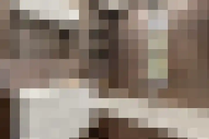 Hans van Kilsdonklaan 5 Beverwijk thumbnail 32