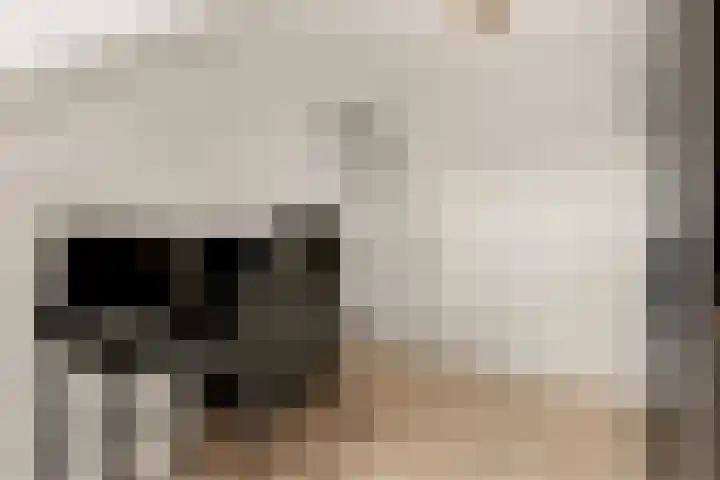 Hans van Kilsdonklaan 5 Beverwijk thumbnail 38