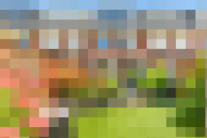 Hans van Kilsdonklaan 5 Beverwijk thumbnail 46