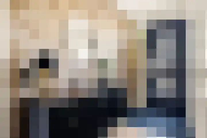 Hans van Kilsdonklaan 5 Beverwijk thumbnail 8