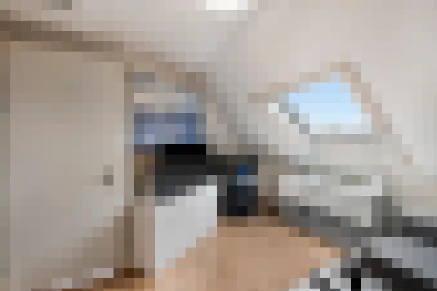 Hans van Kilsdonklaan 57 Beverwijk thumbnail 37