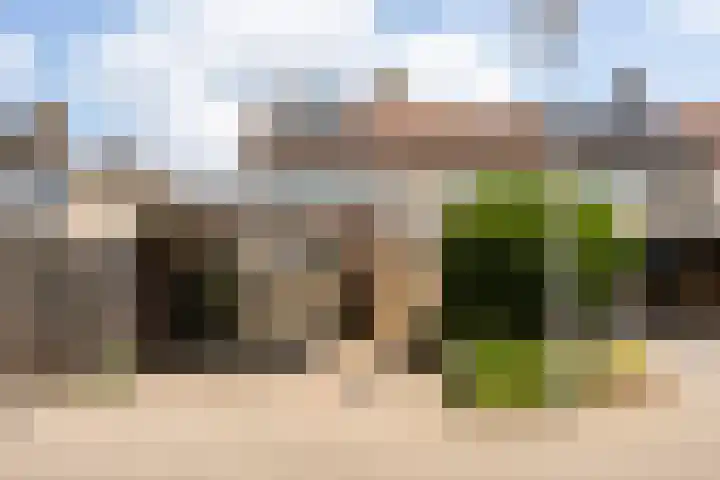 Hanselaarmate 58 Zwolle thumbnail 6