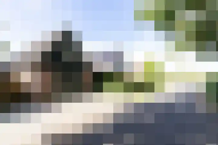 Hansenkamp 27 Roderwolde thumbnail 40