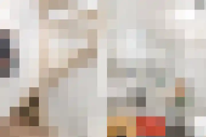 Hansenstraat 60 Leiden thumbnail 9