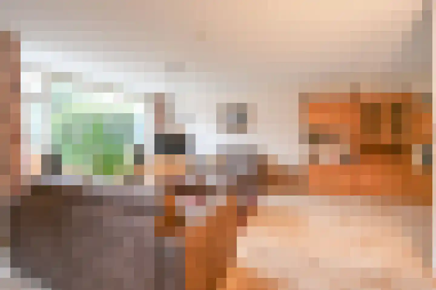 Hanso Idzerdapad 19 Den Haag thumbnail 12