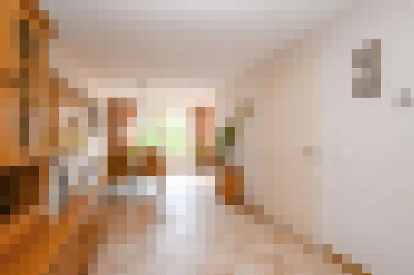 Hanso Idzerdapad 19 Den Haag thumbnail 15
