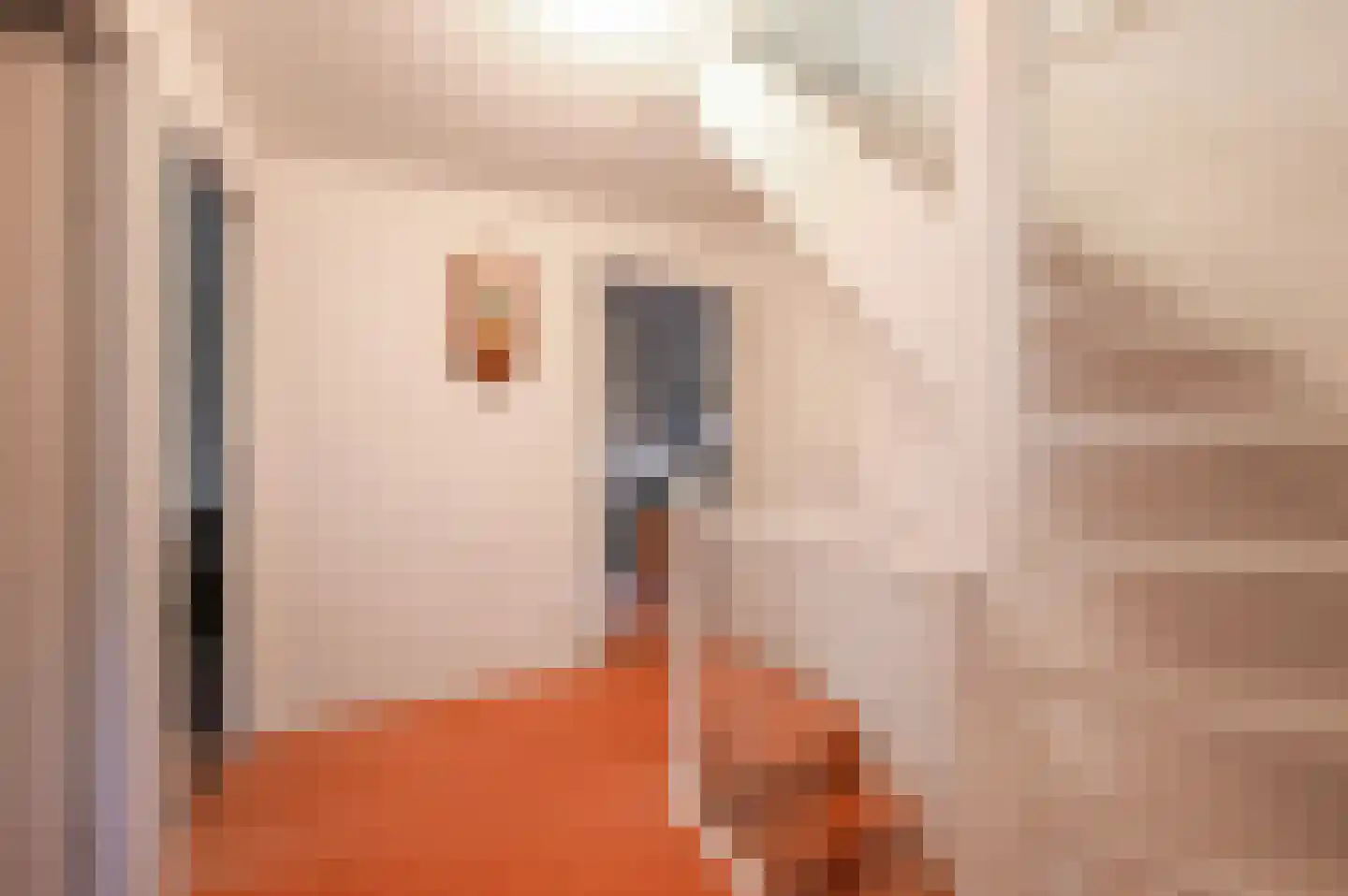 Hanso Idzerdapad 19 Den Haag thumbnail 33
