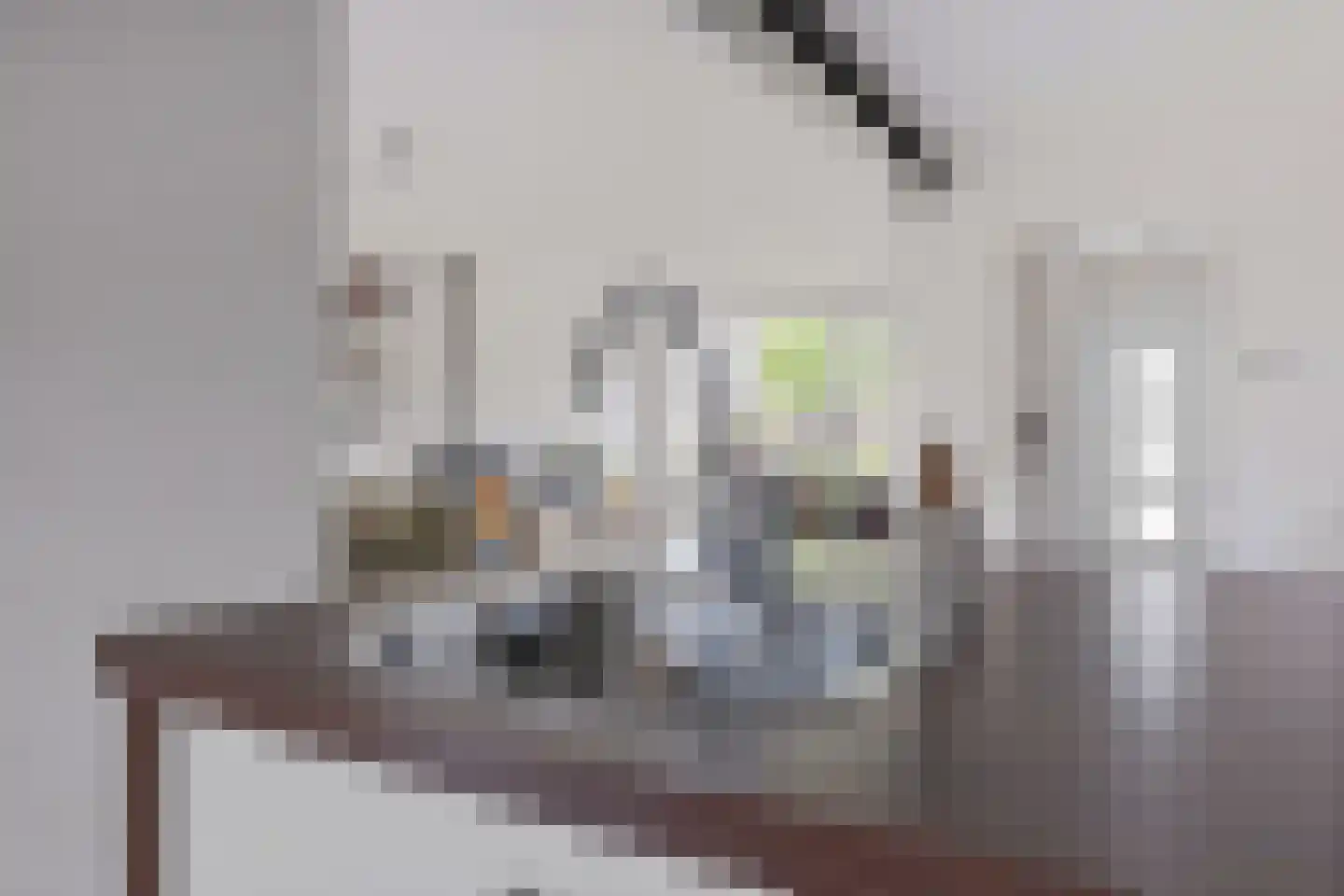 Hanssum 17 Neer thumbnail 12
