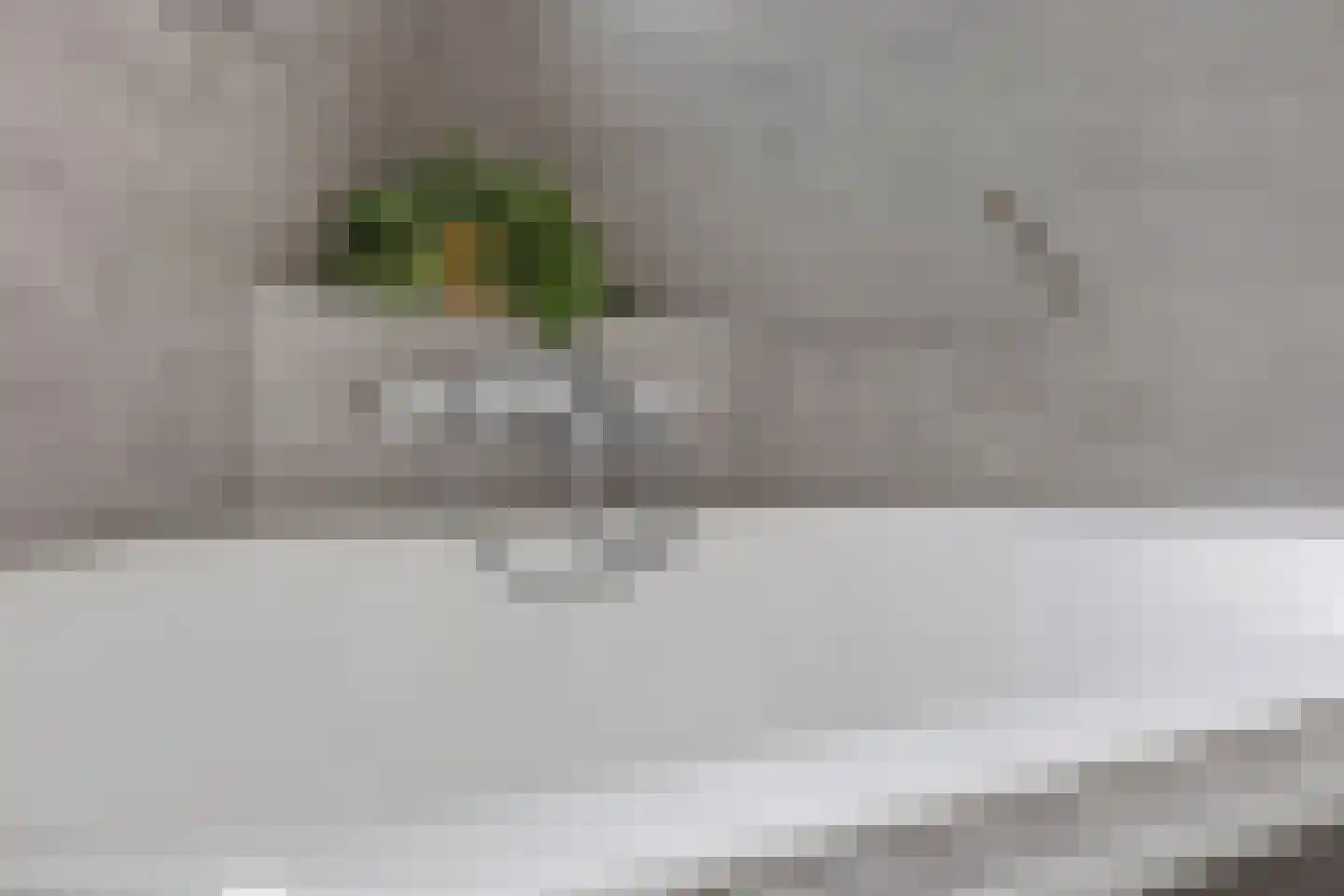 Hanssum 17 Neer thumbnail 20