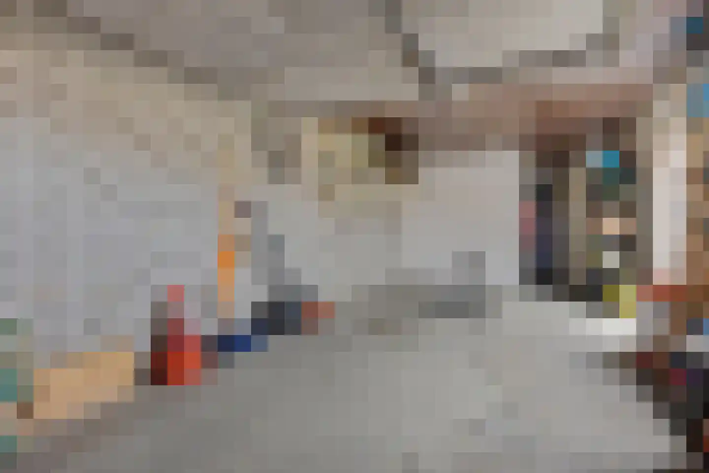 Hanssum 17 Neer thumbnail 43