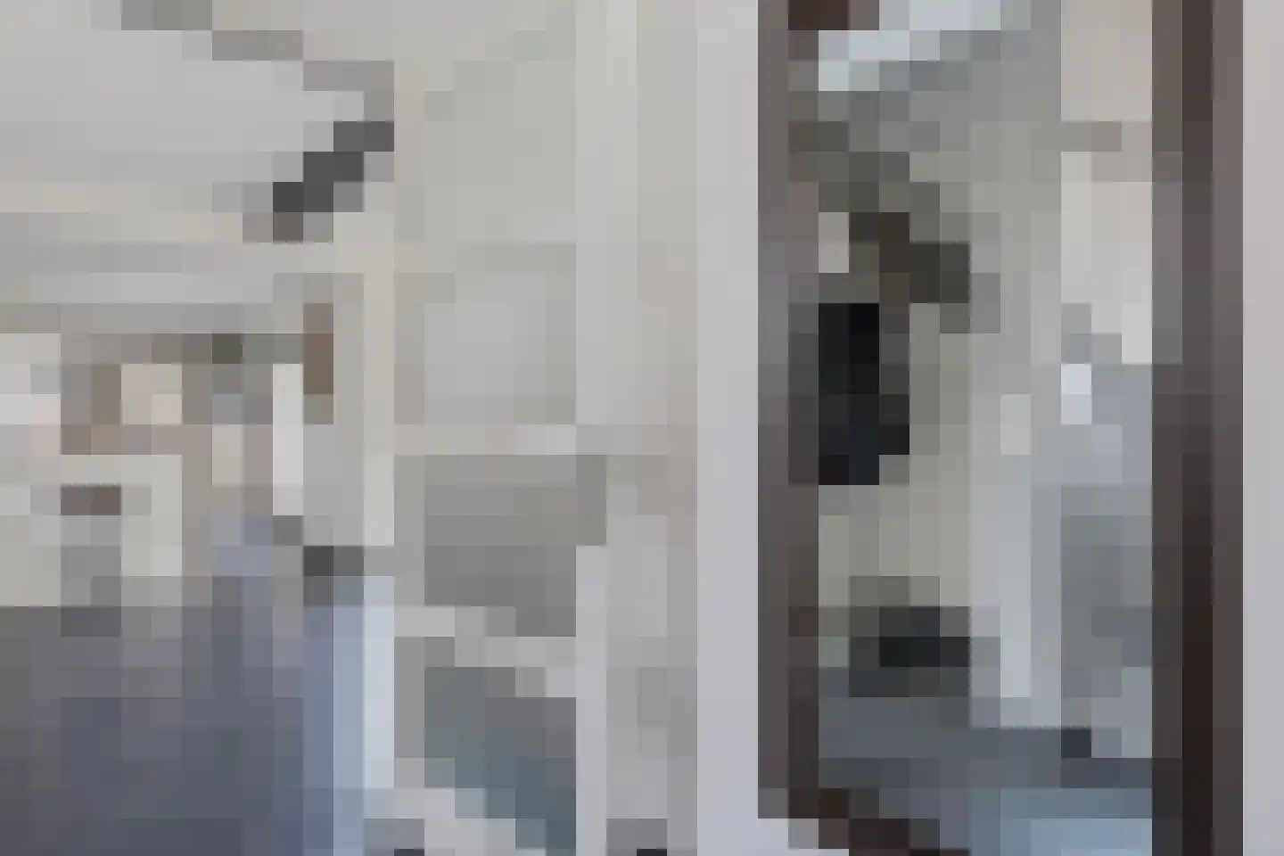 Hanssum 17 Neer thumbnail 5
