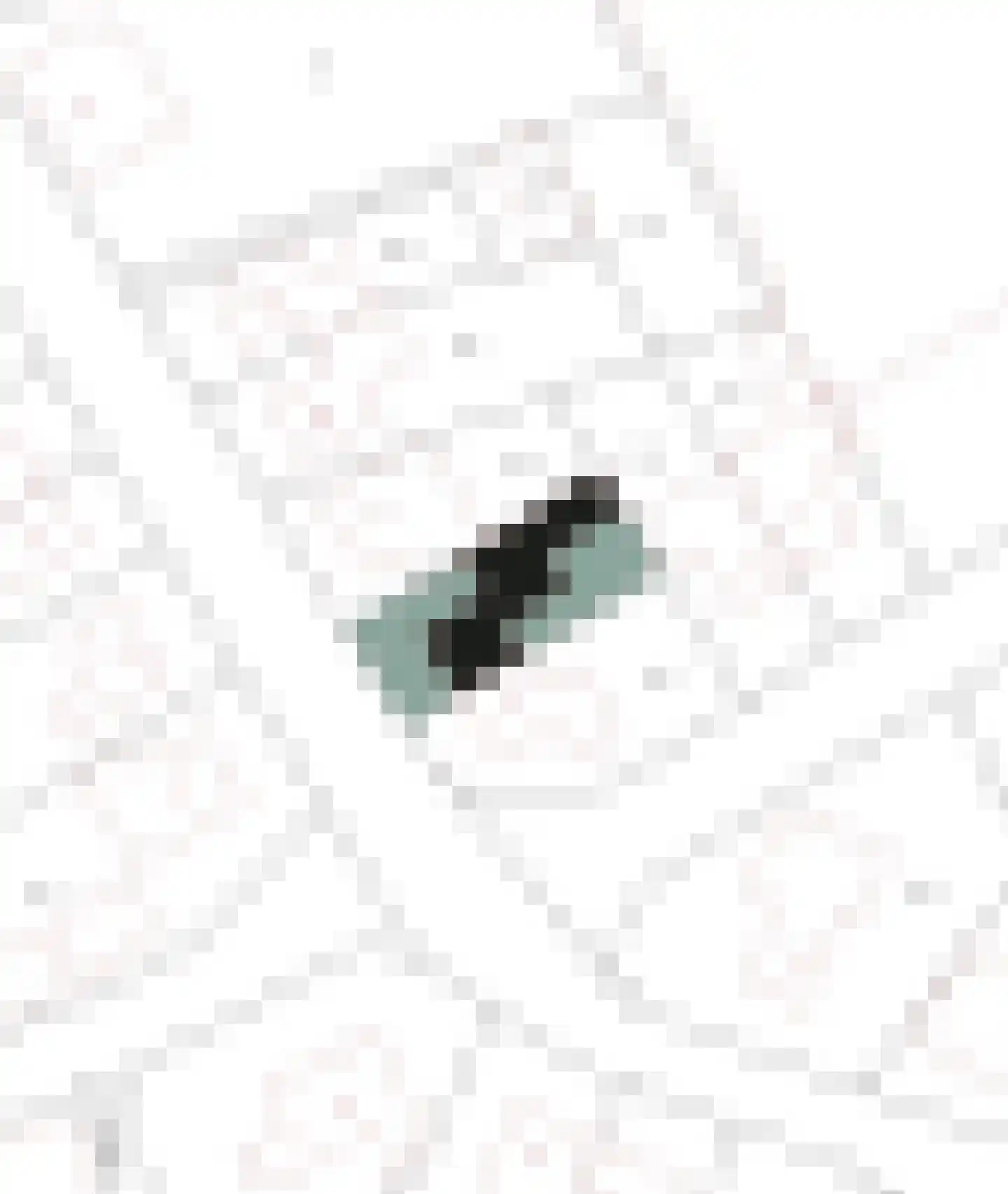 Hanssum 17 Neer thumbnail 51