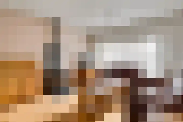 Hanssum 25 Neer thumbnail 4