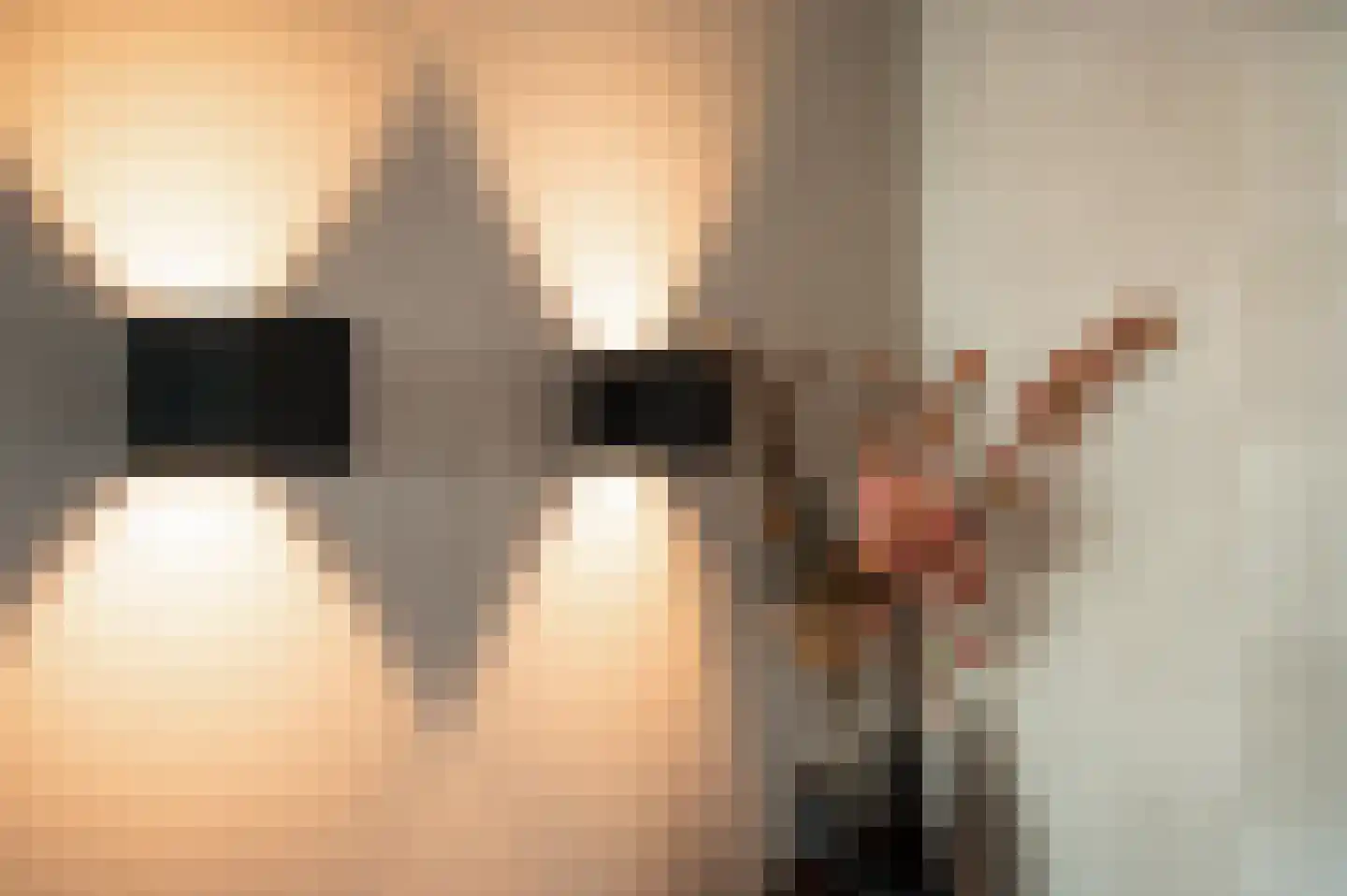 Hanssum 41 p Neer thumbnail 10