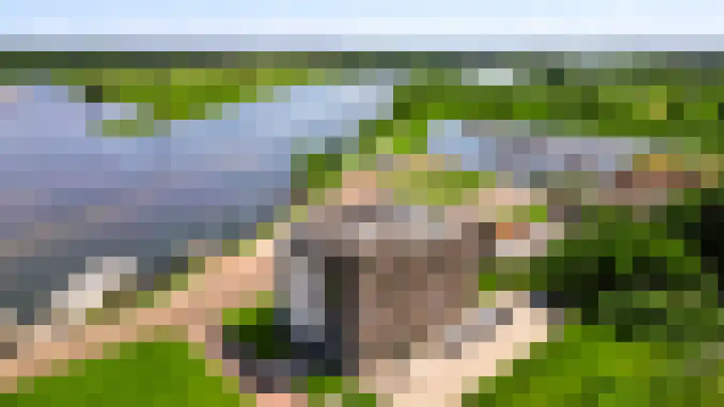 Hanssum 41 p Neer thumbnail 106