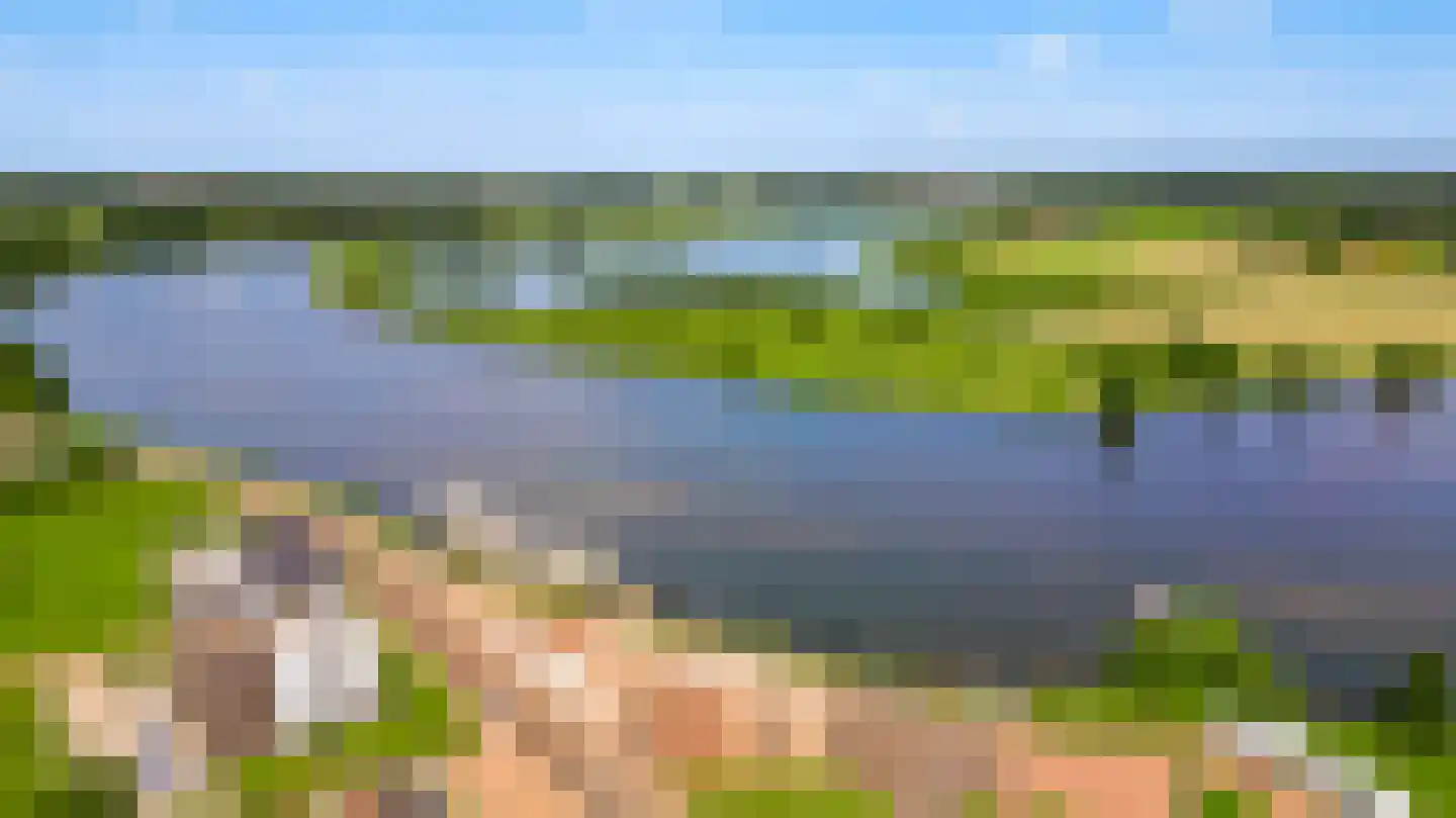 Hanssum 41 p Neer thumbnail 110