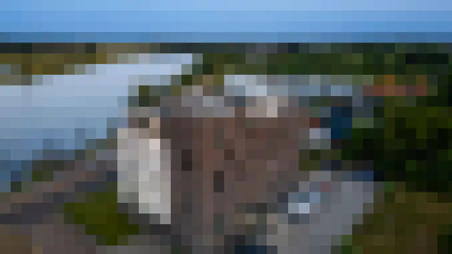 Hanssum 41 p Neer thumbnail 130