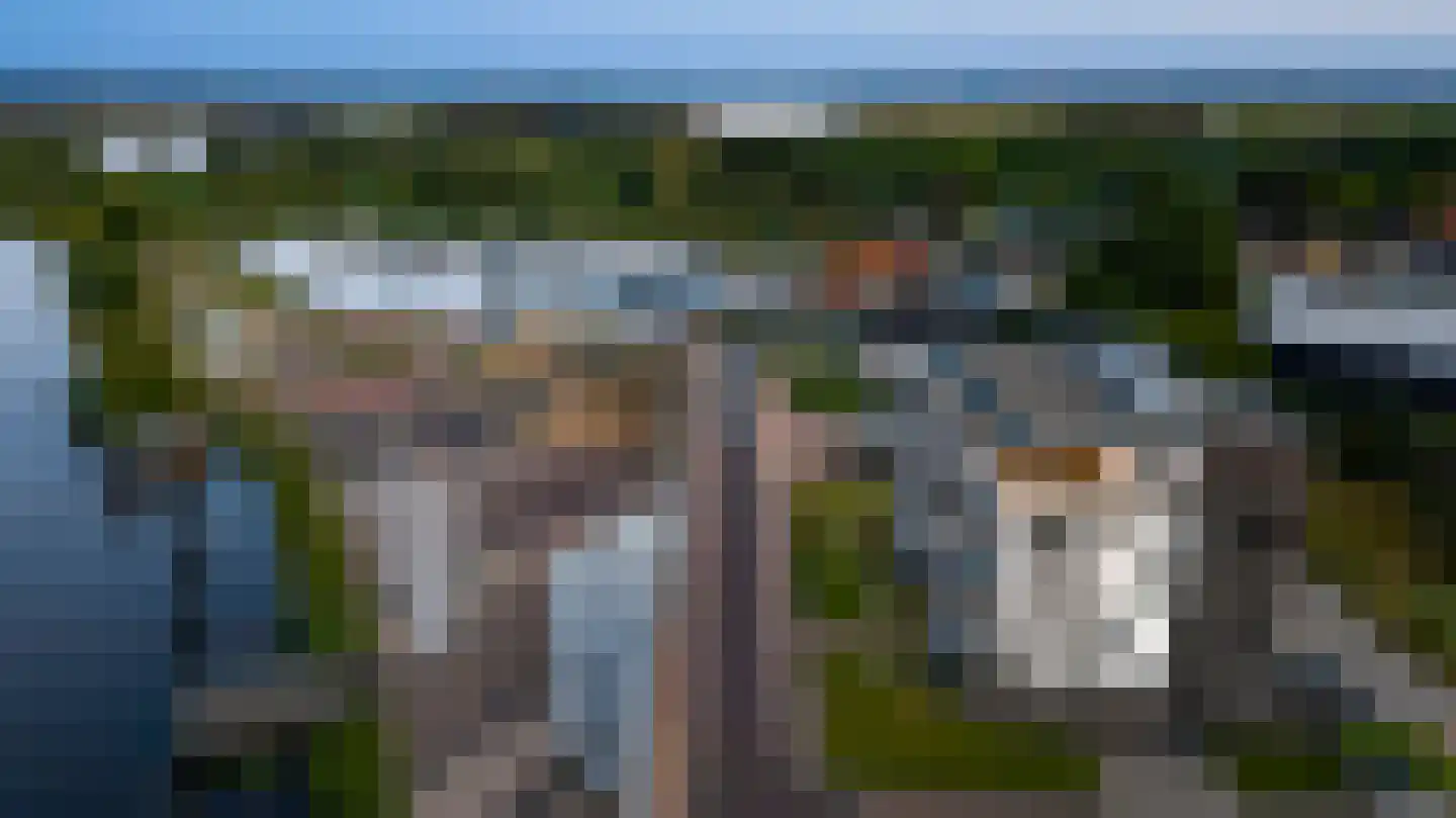 Hanssum 41 p Neer thumbnail 133