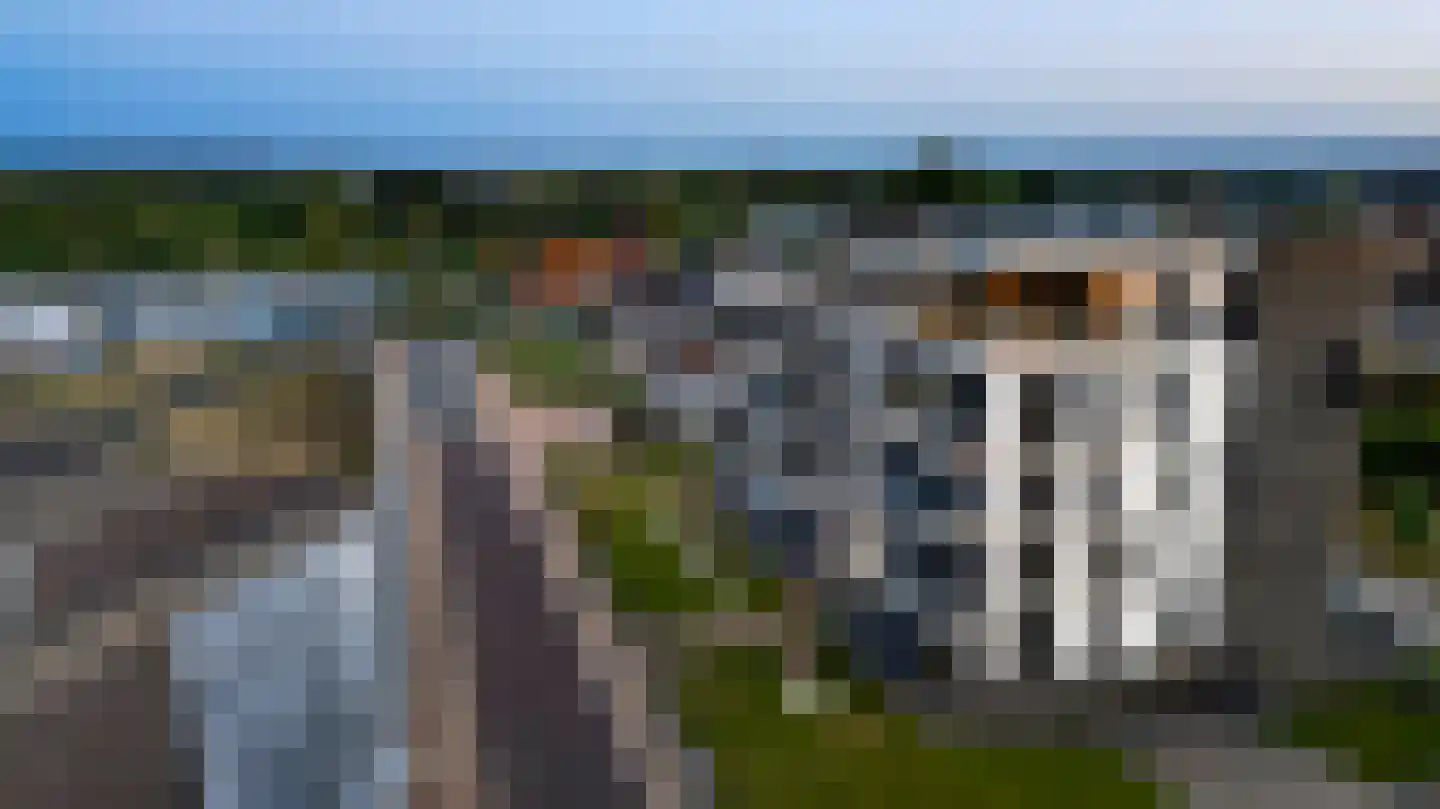 Hanssum 41 p Neer thumbnail 134