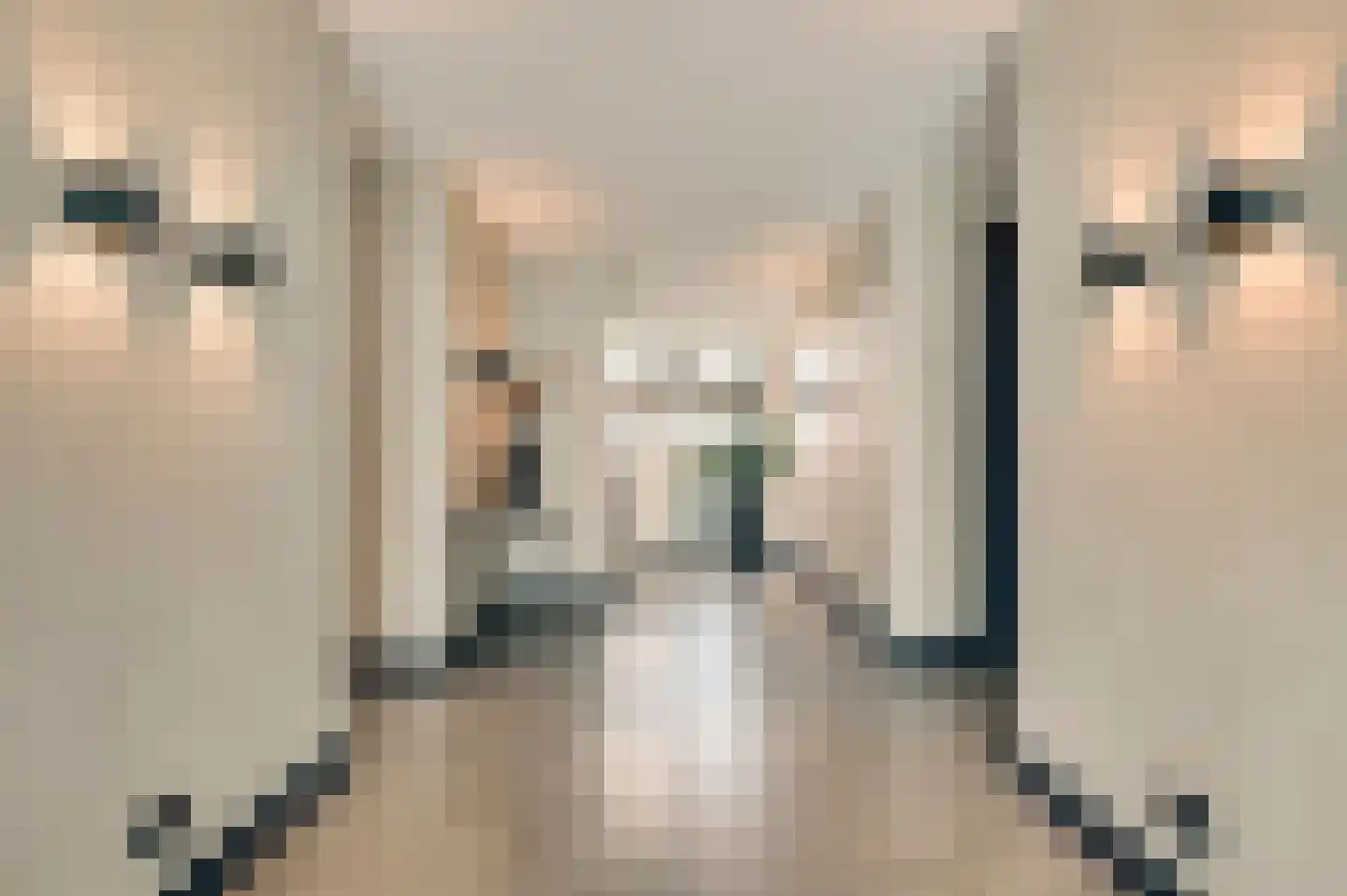 Hanssum 41 p Neer thumbnail 15