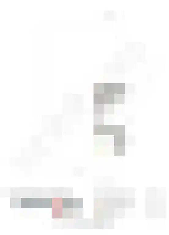 Hanssum 41 p Neer thumbnail 158