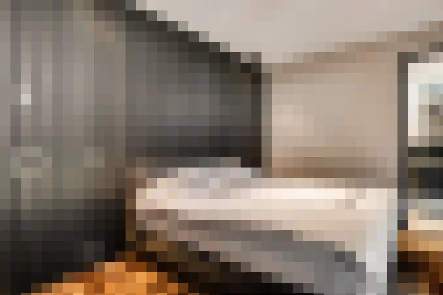 Hanssum 41 p Neer thumbnail 18