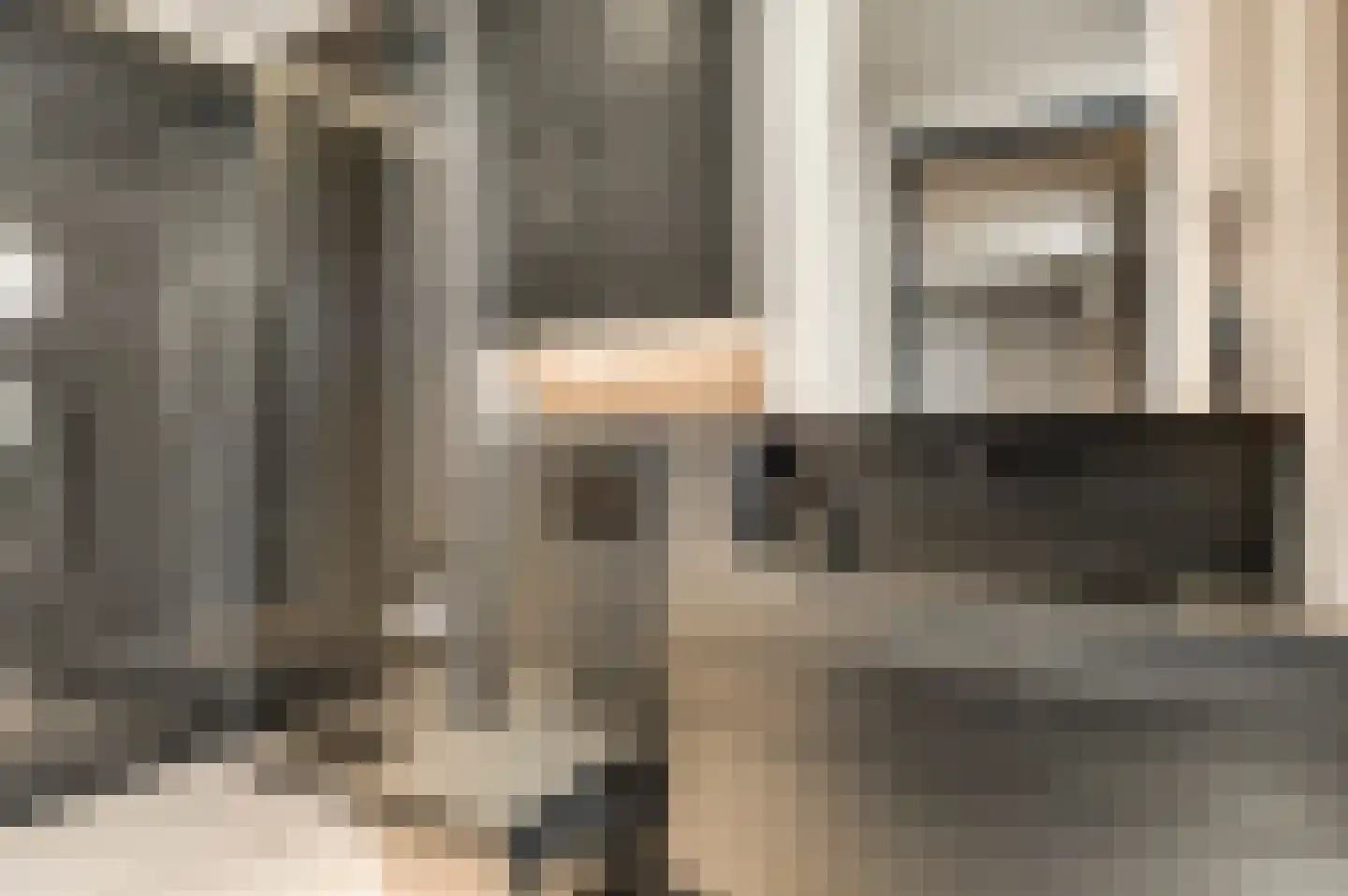 Hanssum 41 p Neer thumbnail 19
