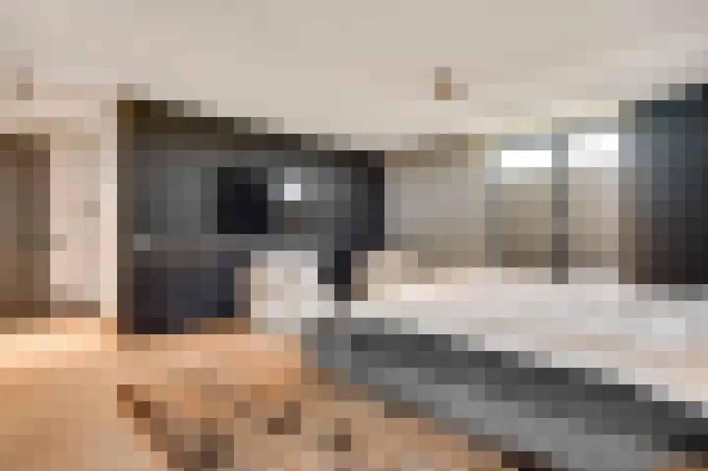 Hanssum 41 p Neer thumbnail 27