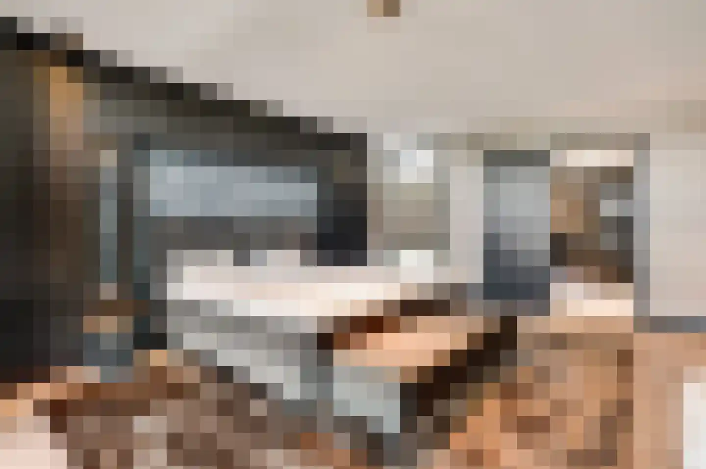 Hanssum 41 p Neer thumbnail 28