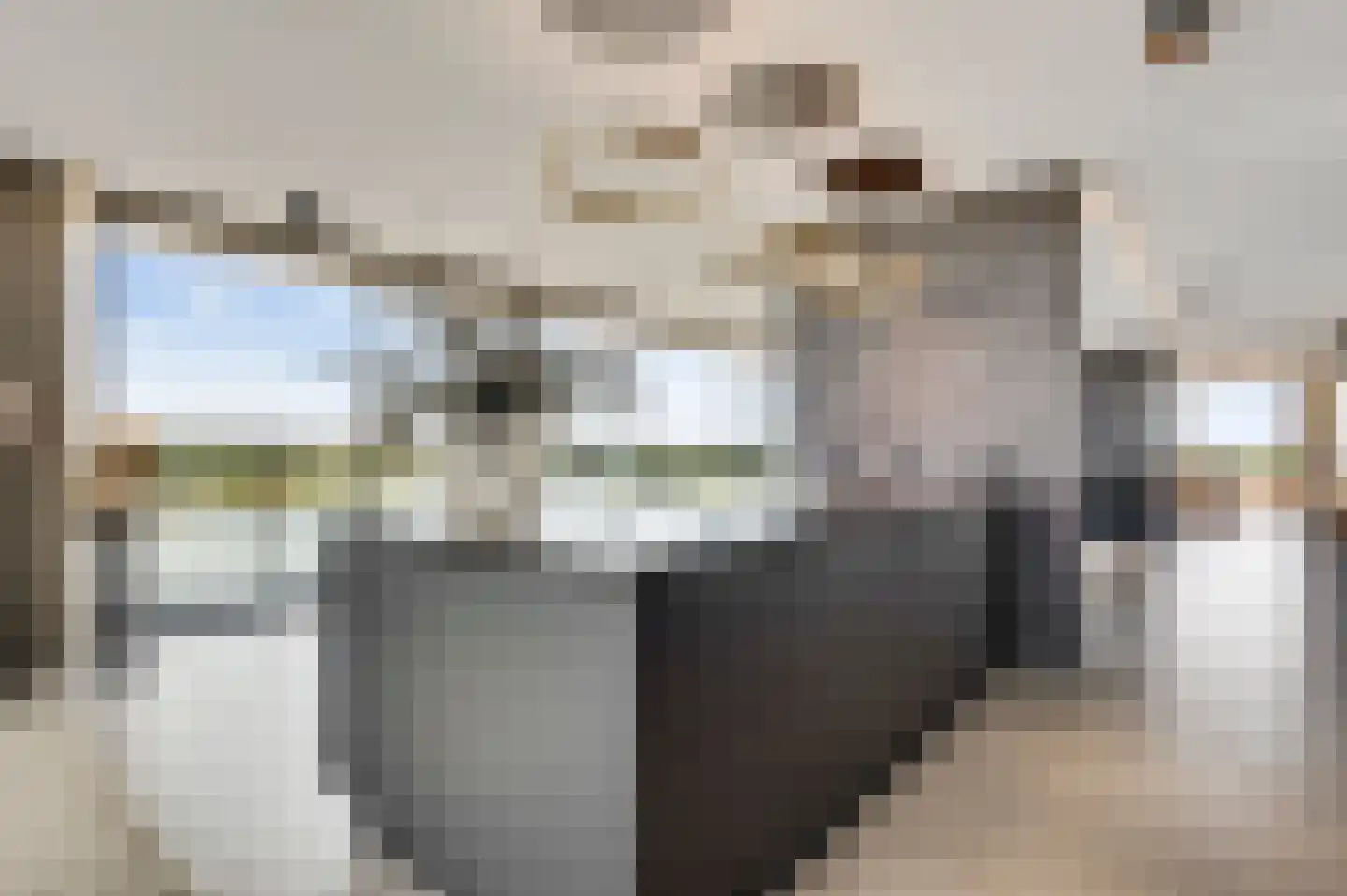 Hanssum 41 p Neer thumbnail 44