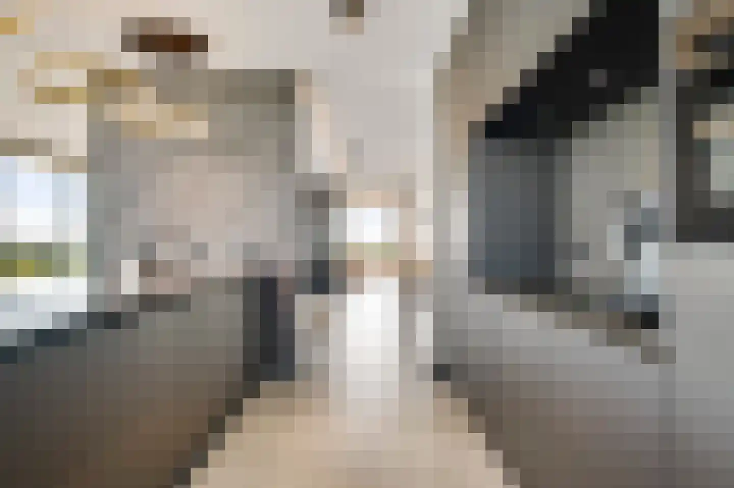 Hanssum 41 p Neer thumbnail 45