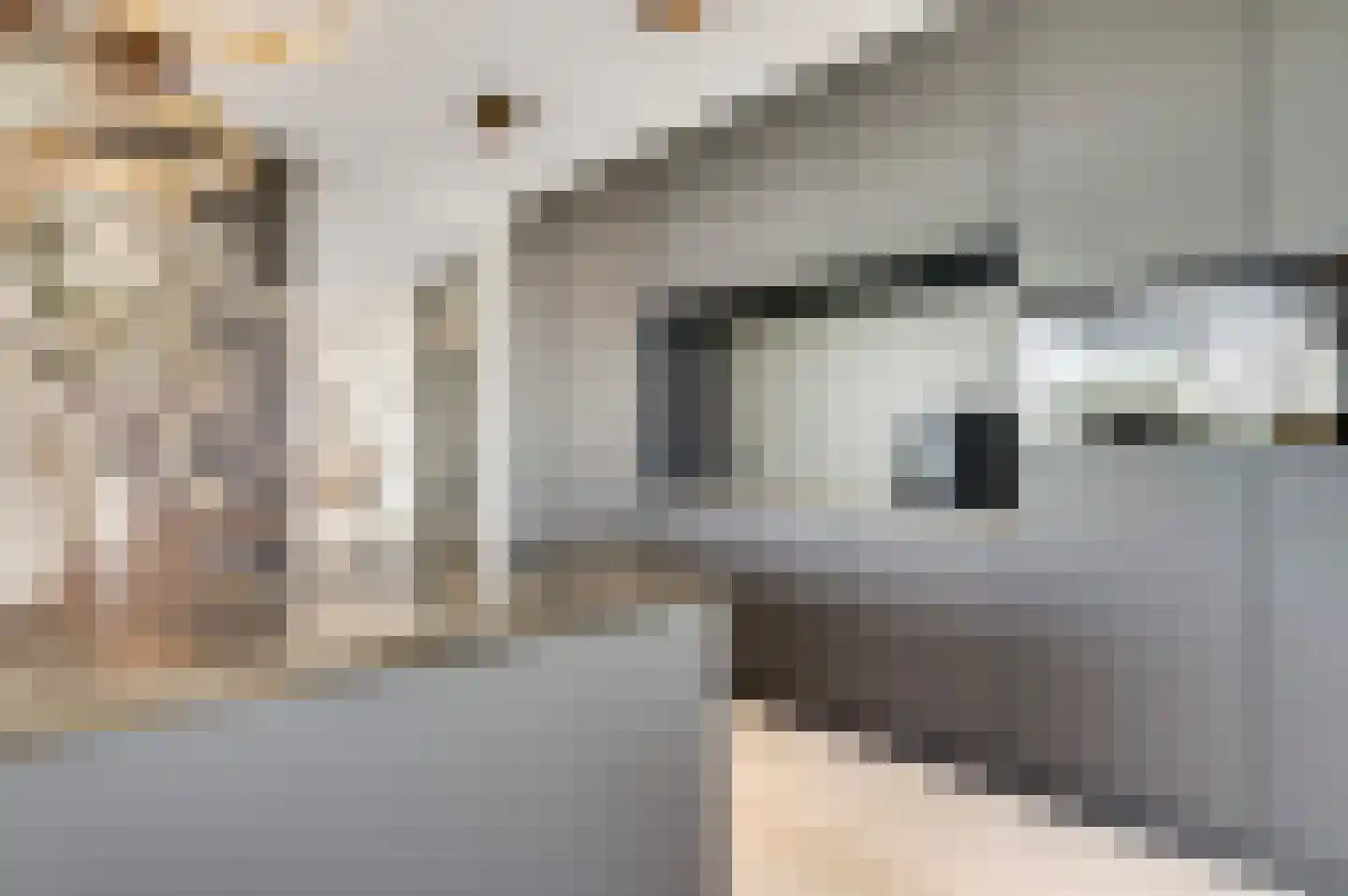 Hanssum 41 p Neer thumbnail 46