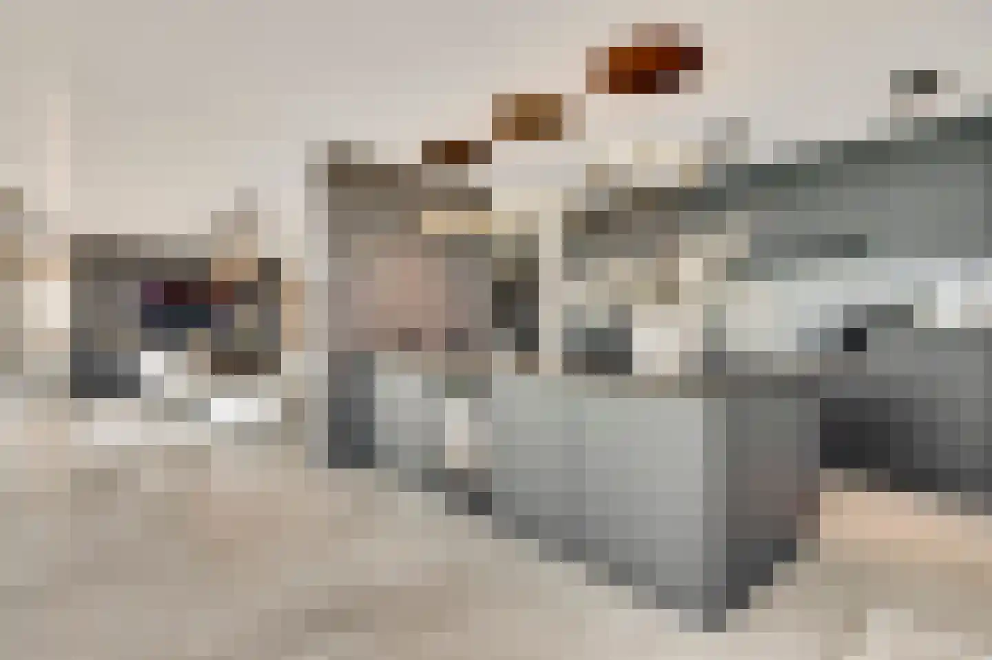Hanssum 41 p Neer thumbnail 47